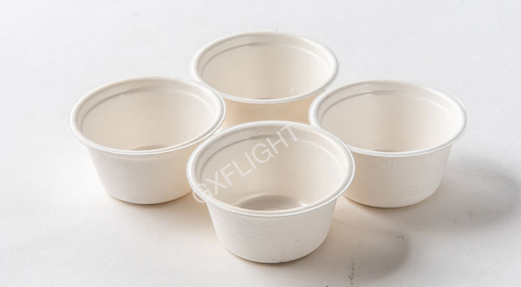 Sugarcane Bagasse